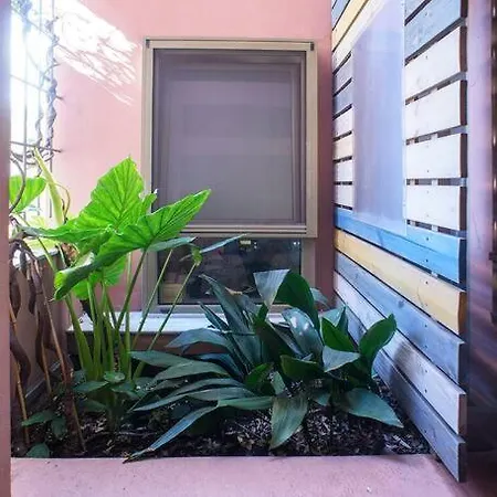 Little Gem In The Historical Center Of Apartment *